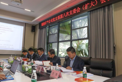 南宫NG28矿产召开2022年第8次支部委员会（扩大）会议